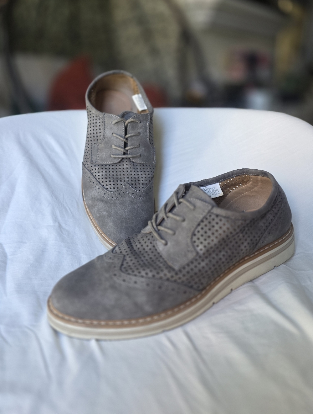 Wanted "Babe" Grey Perforated Wingtip Oxford Shoes - Women's 8.5​